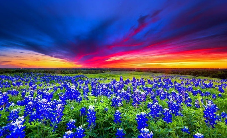 affiliate marketing in texas outdoors